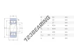 305807-2RS-INA