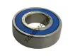 6004-2RS-INOX-NSFH1