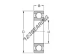 6009-C2-SKF
