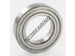 6009-ZZ-SKF