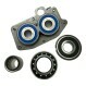 6018-C4-SKF