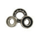 6305-2ZR-SKF