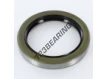 BC-75X100X10-NBR