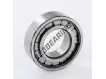 BC1-0013DD-SKF