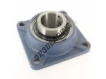 FY2.1-2-TF-SKF