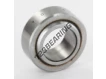 GE20C-SKF