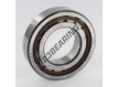 NJ209-ECP-SKF
