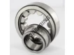 NJ306-ECJ-C3-SKF