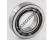 NU1005-SKF