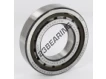 NUP209-ECP-C3-SKF
