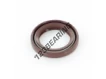 OAS-17X25X4-FPM