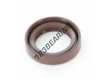 OAS-17X25X6-FPM