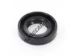 OAS-19X35X8-NBR