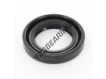 OAS-22.23X34.93X6.35-NBR