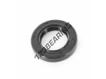 OAS-23X38X7-NBR