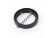 OAS-25X32X6-NBR