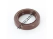 OAS-25X36X7-FPM