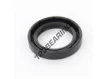 OAS-33X48X8.90-NBR