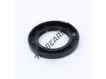 OAS-50X81X10-NBR