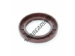 OAS-55X85X10-FPM
