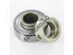 RAE17-NPP-FA106-INA