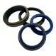 RDI-60X82X11-NBR90