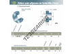 US211-G2-SNR