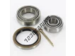 VKBA534-SKF
